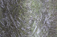 Scotch Town fibreglass roof work